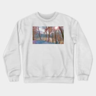 Winter Dream Crewneck Sweatshirt